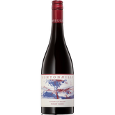 Ashton Hills Piccadilly Valley Adelaide Hills Pinot Noir 2023 - Fine Pinot